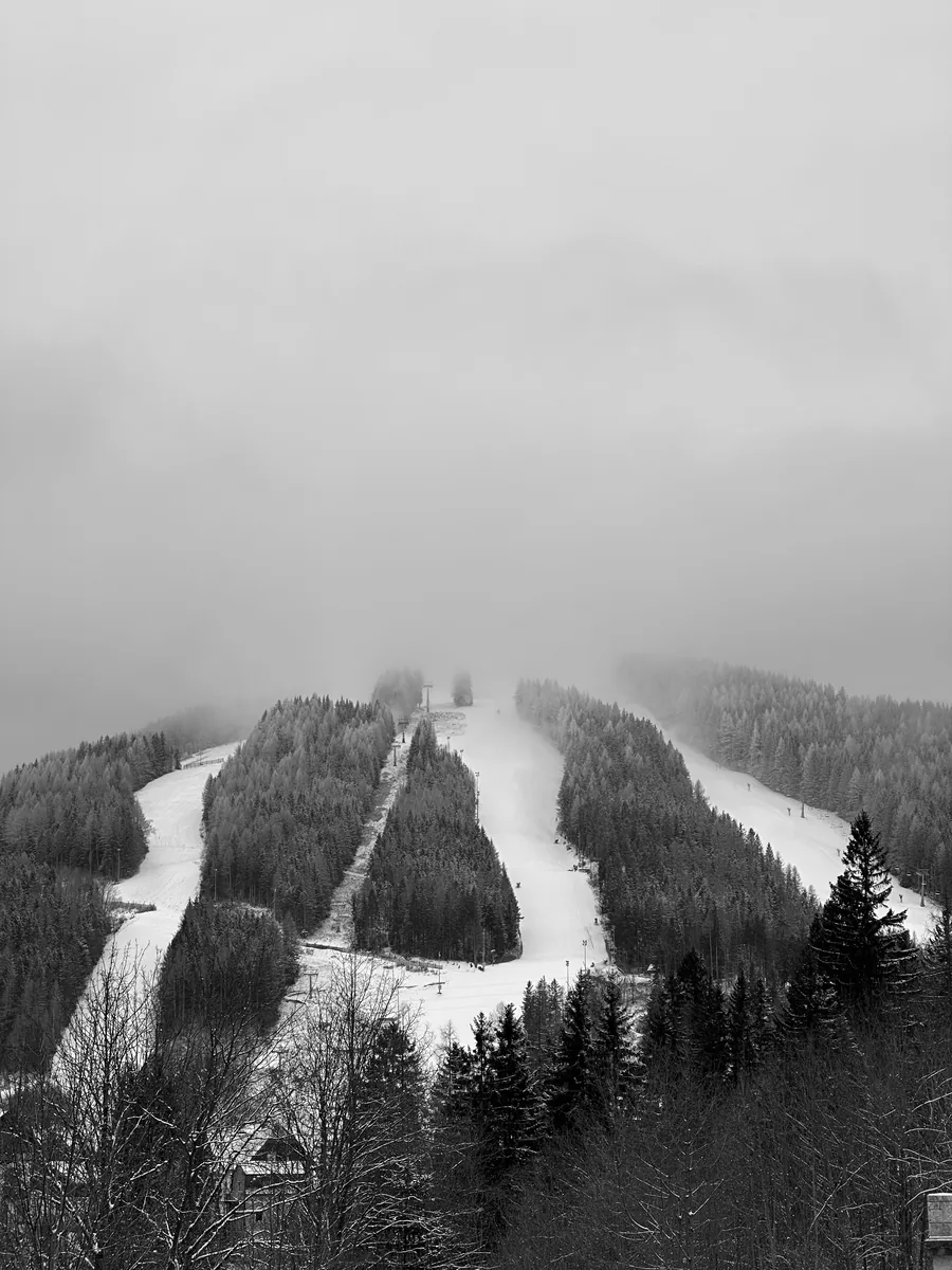 Ski slopes cut through the forest, fog closing in from above